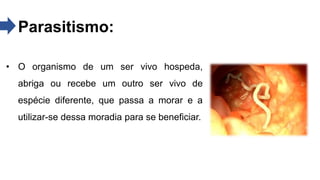 • O organismo de um ser vivo hospeda,
abriga ou recebe um outro ser vivo de
espécie diferente, que passa a morar e a
utilizar-se dessa moradia para se beneficiar.
Parasitismo:
 