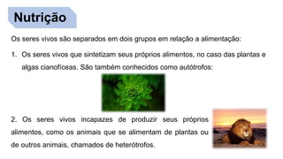 Nutrição
Os seres vivos são separados em dois grupos em relação a alimentação:
1. Os seres vivos que sintetizam seus próprios alimentos, no caso das plantas e
algas cianofíceas. São também conhecidos como autótrofos:
2. Os seres vivos incapazes de produzir seus próprios
alimentos, como os animais que se alimentam de plantas ou
de outros animais, chamados de heterótrofos.
 