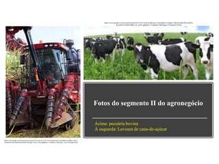 Fotos do segmento II do agronegócio
https://www.google.com.br/search?q=pecu%C3%A1ria+bovina&source=lnms&tbm=isch&sa=X&ved=0ahUKEwio0P2s-
K3aAhVHTJAKHTB6B_oQ_AUICigB&biw=1536&bih=760#imgrc=F5f1Rusr9TT9zM:
https://www.google.com.br/search?q=lavoura+de+cana+de+a%C3%A7ucar&source=lnms&tbm=isch&sa=X&ve
d=0ahUKEwiksvbk963aAhWMD5AKHQp_DzwQ_AUICigB&biw=1536&bih=760#imgrc=LKzTX5Iwp8DLAM
:
Acima: pecuária bovina
À esquerda: Lavoura de cana-de-açúcar
 