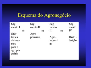 Esquema do Agronegócio
Seg-
mento I
Ofer-
tantes
de insu-
mos
para a
agrope-
cuária

Seg-
mento II
Agro-
pecuária

Seg-
mento
III
Agro-
indústri
as

Seg-
mento
IV
Distri-
buição
 