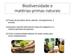 A biodiversidade e o desenvolvimento de formas farmacêuticas.pdf
