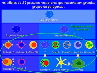 Progenitor linfóide
Progenitor linfóide
Célula pluripotente
Célula pluripotente
Linfócito B
Linfócito B
Plasmócito
Plasmócito
Linfócito T
Linfócito T
Célula T
Célula T
efetora
efetora
Progenitor mielóide
Progenitor mielóide
Mastócito
Mastócito Macrófago
Macrófago
?
? Neutrófilo
Neutrófilo
Monócito
Monócito
Célula NK
Célula NK Basófilo
Basófilo Eosinófilo
Eosinófilo
Célula dendrítica
Célula dendrítica
As células do SI possuem receptores que reconhecem grandes
As células do SI possuem receptores que reconhecem grandes
grupos de patógenos .
grupos de patógenos .
Expressos em todas
Expressos em todas
essas células
essas células
 