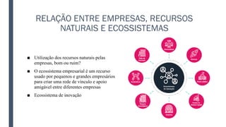 RELAÇÃO ENTRE EMPRESAS, RECURSOS
NATURAIS E ECOSSISTEMAS
■ Utilização dos recursos naturais pelas
empresas, bom ou ruim?
■ O ecossistema empresarial é um recurso
usado por pequenos e grandes empresários
para criar uma rede de vínculo e apoio
amigável entre diferentes empresas
■ Ecossistema de inovação
 