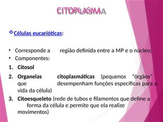 Células eucarióticas:
• Corresponde a região definida entre a MP e o núcleo;
• Componentes:
1. Citosol
2. Organelas citoplasmáticas (pequenos “órgãos”
que desempenham funções específicas para a
vida da célula)
3. Citoesqueleto (rede de tubos e filamentos que define a
forma da célula e permite que ela realize
movimentos)
CITOPLASMA
 