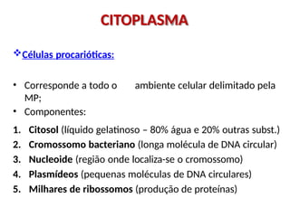 Células procarióticas:
• Corresponde a todo o ambiente celular delimitado pela
MP;
• Componentes:
1. Citosol (líquido gelatinoso – 80% água e 20% outras subst.)
2. Cromossomo bacteriano (longa molécula de DNA circular)
3. Nucleoide (região onde localiza-se o cromossomo)
4. Plasmídeos (pequenas moléculas de DNA circulares)
5. Milhares de ribossomos (produção de proteínas)
CITOPLASMA
 