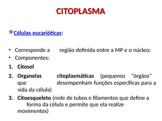 Células eucarióticas:
• Corresponde a região definida entre a MP e o núcleo;
• Componentes:
1. Citosol
2. Organelas citoplasmáticas (pequenos “órgãos”
que desempenham funções específicas para a
vida da célula)
3. Citoesqueleto (rede de tubos e filamentos que define a
forma da célula e permite que ela realize
movimentos)
CITOPLASMA
 