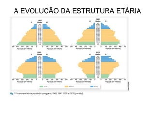 A EVOLUÇÃO DA ESTRUTURA ETÁRIA 