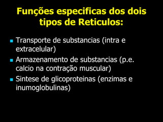 Funções especificas dos dois
tipos de Reticulos:
 Transporte de substancias (intra e
extracelular)
 Armazenamento de substancias (p.e.
calcio na contração muscular)
 Sintese de glicoproteinas (enzimas e
inumoglobulinas)
 