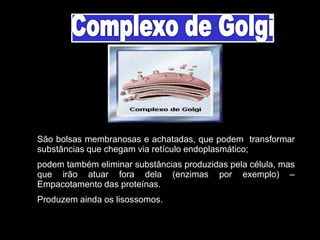 São bolsas membranosas e achatadas, que podem transformar
substâncias que chegam via retículo endoplasmático;
podem também eliminar substâncias produzidas pela célula, mas
que irão atuar fora dela (enzimas por exemplo) –
Empacotamento das proteínas.
Produzem ainda os lisossomos.
 