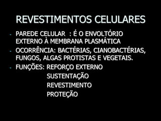 REVESTIMENTOS CELULARES
- PAREDE CELULAR : É O ENVOLTÓRIO
EXTERNO À MEMBRANA PLASMÁTICA
- OCORRÊNCIA: BACTÉRIAS, CIANOBACTÉRIAS,
FUNGOS, ALGAS PROTISTAS E VEGETAIS.
- FUNÇÕES: REFORÇO EXTERNO
SUSTENTAÇÃO
REVESTIMENTO
PROTEÇÃO
 