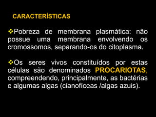 Pobreza de membrana plasmática: não
possue uma membrana envolvendo os
cromossomos, separando-os do citoplasma.
Os seres vivos constituídos por estas
células são denominados PROCARIOTAS,
compreendendo, principalmente, as bactérias
e algumas algas (cianofíceas /algas azuis).
CARACTERÍSTICAS
 