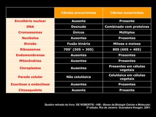 Células procariontes Células eucariontes
Envoltório nuclear Ausente Presente
DNA Desnudo Combinado com proteínas
Cromossomas Únicos Múltiplos
Nucléolos Ausentes Presentes
Divisão Fusão binária Mitose e meiose
Ribossomas 70S* (50S + 30S) 80S (60S + 40S)
Endomembranas Ausentes Presentes
Mitocôndrias Ausentes Presentes
Cloroplastos Ausentes
Presentes em células
vegetais
Parede celular Não celulósica
Celulósica em células
vegetais
Exocitose e endocitose Ausentes Presentes
Citoesqueleto Ausente Presente
Quadro retirado do livro: DE ROBERTIS - HIB - Bases da Biologia Celular e Molecular,
3ª edição, Rio de Janeiro: Guanabara Koogan, 2001.
 