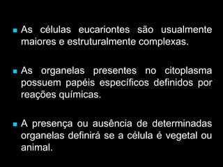  As células eucariontes são usualmente
maiores e estruturalmente complexas.
 As organelas presentes no citoplasma
possuem papéis específicos definidos por
reações químicas.
 A presença ou ausência de determinadas
organelas definirá se a célula é vegetal ou
animal.
 