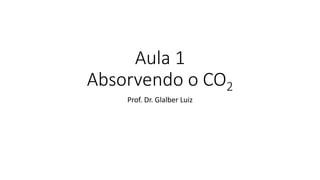Aula 1
Absorvendo o CO2
Prof. Dr. Glalber Luiz
 