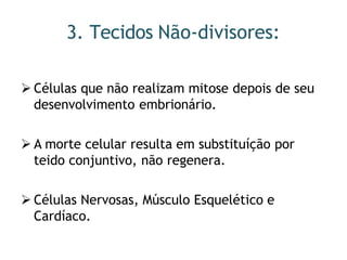 3. Tecidos Não-divisores:
 Células que não realizam mitose depois de seu
desenvolvimento embrionário.
 A morte celular resulta em substituíção por
teido conjuntivo, não regenera.
 Células Nervosas, Músculo Esquelético e
Cardíaco.
 