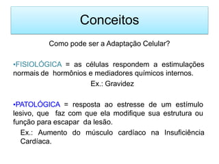 Conceitos
Como pode ser a Adaptação Celular?
•FISIOLÓGICA = as células respondem a estimulações
normais de hormônios e mediadores químicos internos.
Ex.: Gravidez
•PATOLÓGICA = resposta ao estresse de um estímulo
lesivo, que faz com que ela modifique sua estrutura ou
função para escapar da lesão.
Ex.: Aumento do músculo cardíaco na Insuficiência
Cardíaca.
 