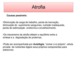 Atrofia
Causas possíveis:
•Diminuição da carga de trabalho, perda de inervação,
diminuição do suprimento sanguíneo, nutrição inadequada,
perda de estimulação endócrina e envelhecimento.
•Os mecanismo de atrofia afetam o equilíbrio entre a
síntese e a degradação de proteínas.
•Pode ser acompanhada por Autofagia, “comer a si próprio”, célula
privada de nutrientes digere seus próprios componentes para
sobreviver.
 