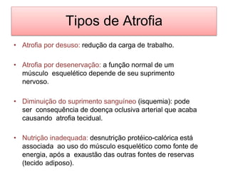 Tipos de Atrofia
• Atrofia por desuso: redução da carga de trabalho.
• Atrofia por desenervação: a função normal de um
músculo esquelético depende de seu suprimento
nervoso.
• Diminuição do suprimento sanguíneo (isquemia): pode
ser consequência de doença oclusiva arterial que acaba
causando atrofia tecidual.
• Nutrição inadequada: desnutrição protéico-calórica está
associada ao uso do músculo esquelético como fonte de
energia, após a exaustão das outras fontes de reservas
(tecido adiposo).
 