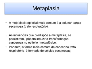 Metaplasia
• A metaplasia epitelial mais comum é a colunar para a
escamosa (trato respiratório).
• As influências que predispõe a metaplasia, se
persistirem, podem induzir a transformação
cancerosa no epitélio metaplásico.
• Portanto, a forma mais comum de câncer no trato
respiratório é formada de células escamosas.
 