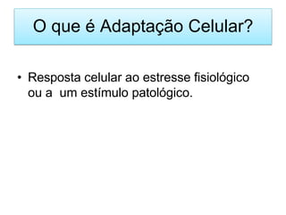 O que é Adaptação Celular?
• Resposta celular ao estresse fisiológico
ou a um estímulo patológico.
 
