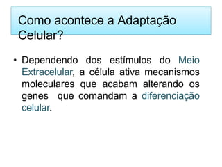 Como acontece a Adaptação
Celular?
• Dependendo dos estímulos do Meio
Extracelular, a célula ativa mecanismos
moleculares que acabam alterando os
genes que comandam a diferenciação
celular.
 