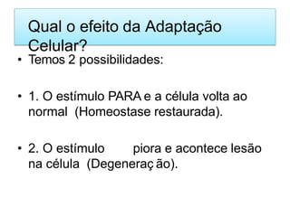 Qual o efeito da Adaptação
Celular?
• Temos 2 possibilidades:
• 1. O estímulo PARA e a célula volta ao
normal (Homeostase restaurada).
• 2. O estímulo piora e acontece lesão
na célula (Degeneraç ão).
 
