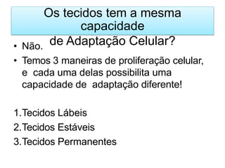 Os tecidos tem a mesma
capacidade
de Adaptação Celular?
• Não.
• Temos 3 maneiras de proliferação celular,
e cada uma delas possibilita uma
capacidade de adaptação diferente!
1.Tecidos Lábeis
2.Tecidos Estáveis
3.Tecidos Permanentes
 