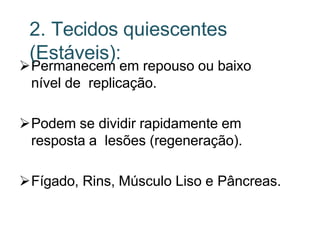 Permanecem em repouso ou baixo
nível de replicação.
Podem se dividir rapidamente em
resposta a lesões (regeneração).
Fígado, Rins, Músculo Liso e Pâncreas.
2. Tecidos quiescentes
(Estáveis):
 