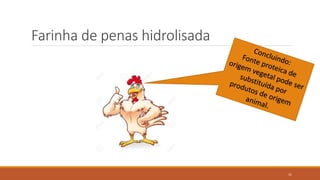 Farinha de penas hidrolisada
31
 