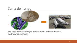 Cama de frango
É oriunda das granjas de frangos, de corte ou postura.
◦ Raspas de madeira, de mandioca, bagaço de cana, palha com
sabugo, entre outros materiais.
PB pode variar de 18 a 40% dependendo do processo de secagem.
◦ Do tal de PB  50% é de NV e 50% de NNP
A digestibilidade da PB 75%.
Alto risco de contaminação por bactérias, principalmente a
Clostridium botulinum.
63
 