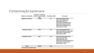 Contaminação bacteriana
86
 