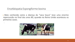 Encefalopatia Espongiforme bovina
o Mais conhecida como a doença da “vaca louca” teve uma enorme
repercussão no final dos anos 80, quando no Reino Unido aconteceu os
primeiros casos.
.
90
 
