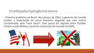 Encefalopatia Espongiforme bovina
o Primeiro problema no Brasil: No começo de 2001, o governo do Canadá
proibiu a importação de carne brasileira alegando que esta estaria
contaminada pela “vaca louca”. Este passo foi seguido pelos Estados
Unidos e pelo México, parceiros comerciais do Canadá no Nafta.
91
 