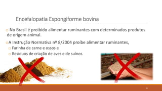 Encefalopatia Espongiforme bovina
o No Brasil é proibido alimentar ruminantes com determinados produtos
de origem animal.
oA Instrução Normativa nº 8/2004 proíbe alimentar ruminantes,
o Farinha de carne e ossos e
o Resíduos de criação de aves e de suínos
92
 