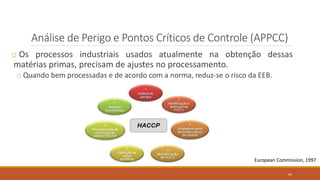 Análise de Perigo e Pontos Críticos de Controle (APPCC)
o Os processos industriais usados atualmente na obtenção dessas
matérias primas, precisam de ajustes no processamento.
o Quando bem processadas e de acordo com a norma, reduz-se o risco da EEB.
European Commission, 1997
94
 