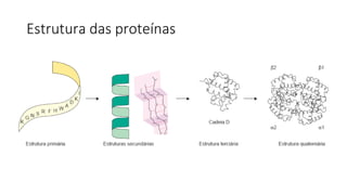 Estrutura das proteínas
 