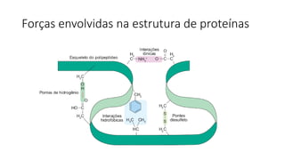 Forças envolvidas na estrutura de proteínas
 