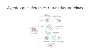 Agentes que afetam estrutura das proteínas
 