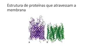 Estrutura de proteínas que atravessam a
membrana
 