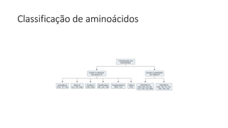 Classificação de aminoácidos
 