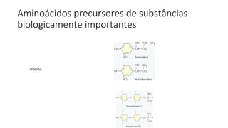 Aminoácidos precursores de substâncias
biologicamente importantes
Tirosina
 