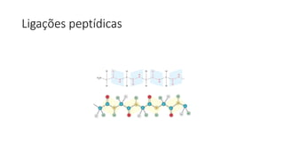 Ligações peptídicas
 