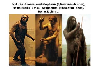 Evolução Humana: Australopitecus (3,6 milhões de anos),
Homo Habilis (2 m.a.), Neanderthal (300 a 29 mil anos),
Homo Sapiens…
19
 