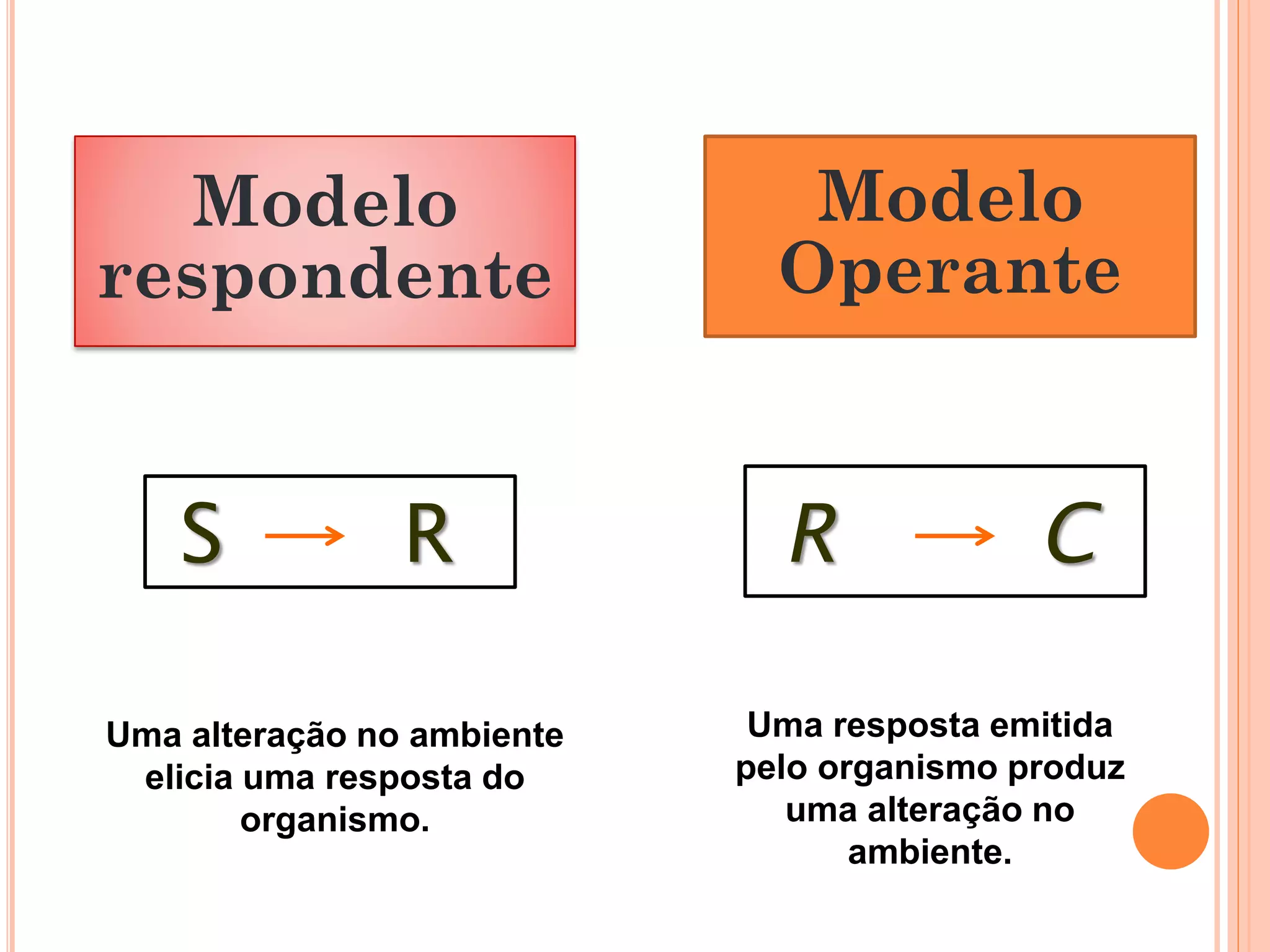 Condicionamento Operante Câmara De Condicionamento Operante