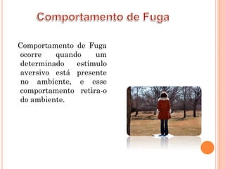 Comportamento de Fuga
ocorre quando um
determinado estímulo
aversivo está presente
no ambiente, e esse
comportamento retira-o
do ambiente.
 