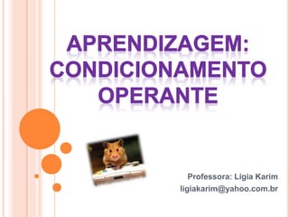 Professora: Lígia Karim
ligiakarim@yahoo.com.br
 