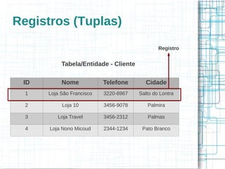 Registros (Tuplas)
                                               Registro


           Tabela/Entidade - Cliente

 ID        Nome            Telefone      Cidade
  1   Loja São Francisco   3220-8967   Salto do Lontra

  2        Loja 10         3456-9078      Palmira

  3      Loja Travel       3456-2312      Palmas

  4   Loja Nono Micoud     2344-1234    Pato Branco
 