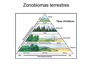 Zonobiomas terrestres 
Tipos climáticos  
