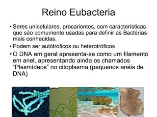Reino Eubacteria 
•Seres unicelulares, procariontes, com características que são comumente usadas para definir as Bactérias mais conhecidas. 
•Podem ser autótroficos ou heterotróficos 
•O DNA em geral apresenta-se como um filamento em anel, apresentando ainda os chamados “Plasmídeos” no citoplasma (pequenos anéis de DNA)  