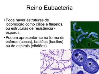 Reino Eubacteria 
•Pode haver estruturas de locomoção como cílios e flagelos, ou estruturas de resistência - esporos. 
•Podem apresentar-se na forma de esferas (cocos), bastões (bacilos) ou de espirais (vibriões).  